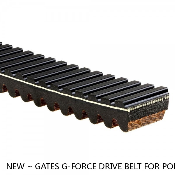 NEW ~ GATES G-FORCE DRIVE BELT FOR POLARIS RZR 800 UTV 2008 - 2012