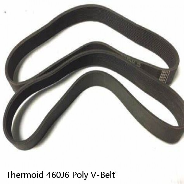 Thermoid 460J6 Poly V-Belt