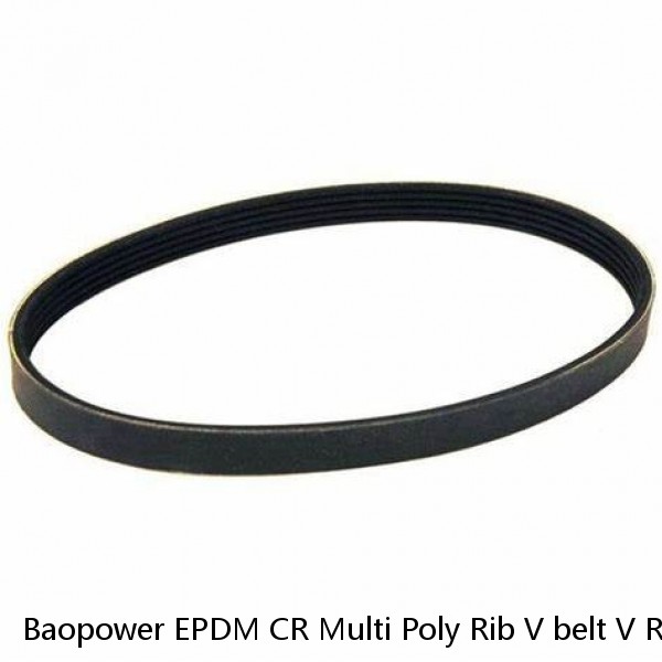 Baopower EPDM CR Multi Poly Rib V belt V Ribbed Automotive Ribbed V-Belts 3PK 4PK 5PK 6PK 7PK 8PK PH PJ PK PL PM DPJ DPK DPL