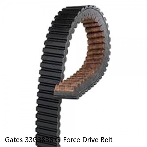Gates 33G3836 G-Force Drive Belt